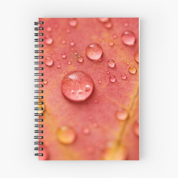 Item preview, Water drops on red leaf designed and sold by JRHarshman.