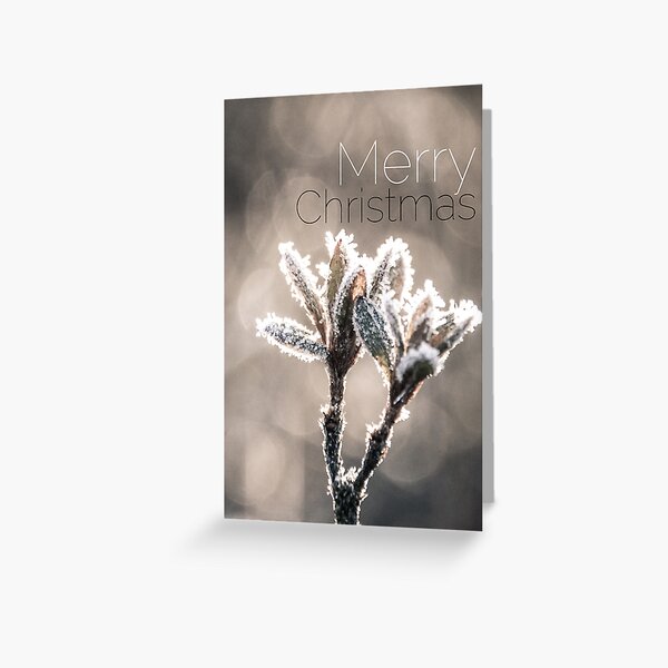 Icy Flowers Greeting Card