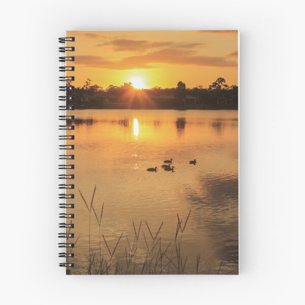 Item preview, Coombabah, Gold Coast, Queensland designed and sold by tarabottrill.