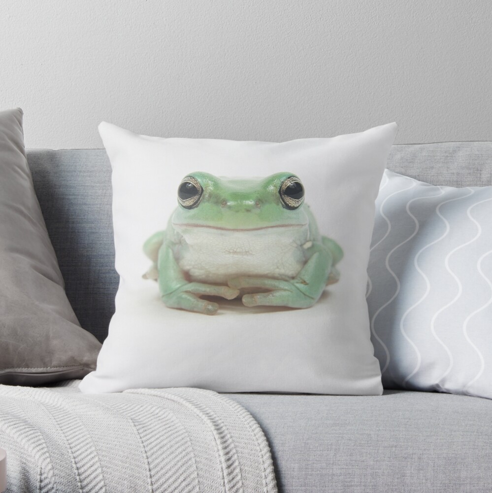 Pillow of Cute Green Frog - Media Storehouse