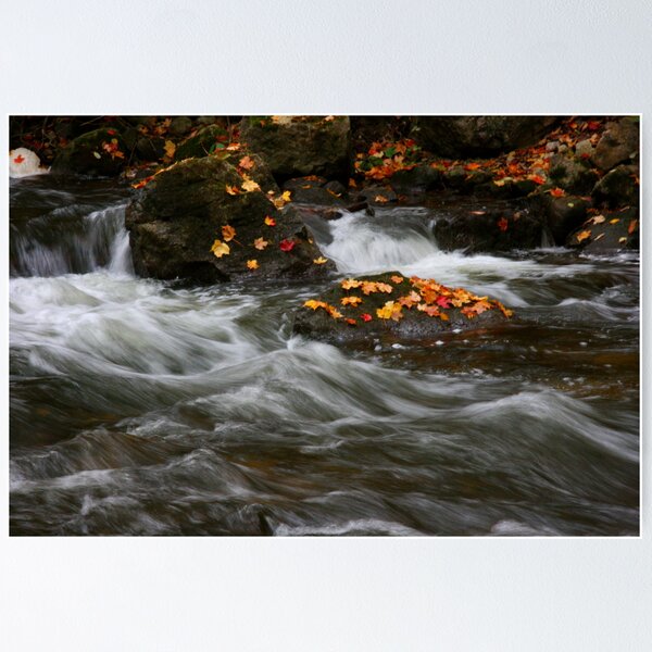 Item preview, Change of Season - Credit River, Ontario designed and sold by Shane Rechner.