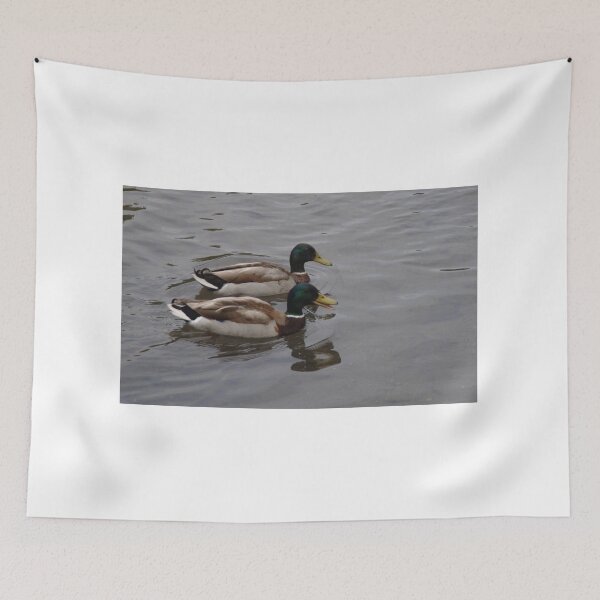 Aperçu de l'œuvre Nager et bavarder (canards) créée et vendue par lezvee.