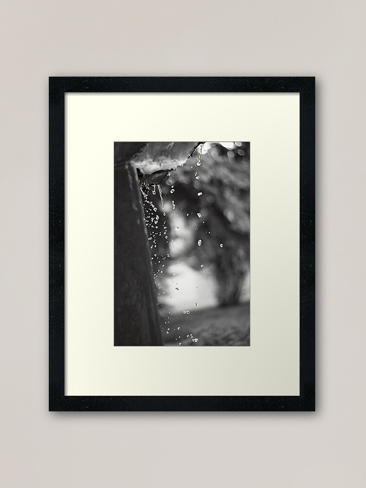 Alternate view of Nature's Water Framed Art Print