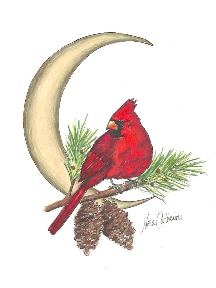 Cardinal - watching over me by noracatherine