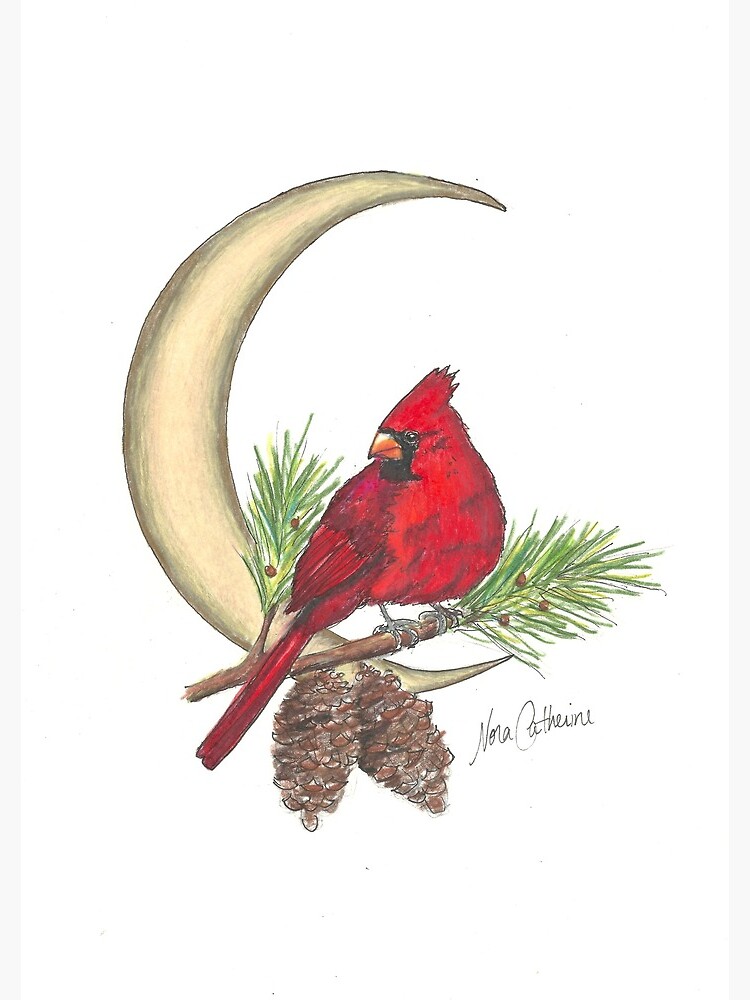 Cardinal - watching over me by noracatherine
