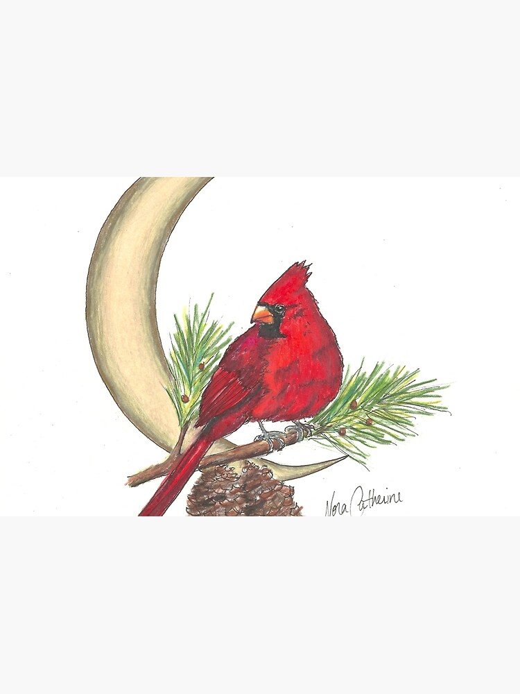 Cardinal - watching over me by noracatherine