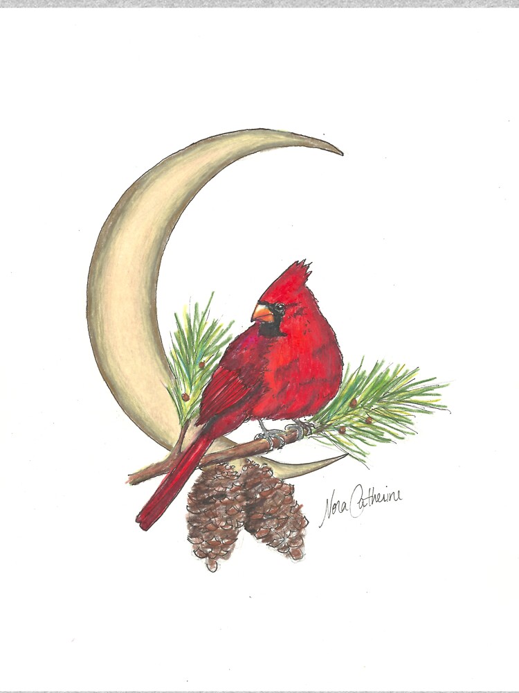 Cardinal - watching over me by noracatherine
