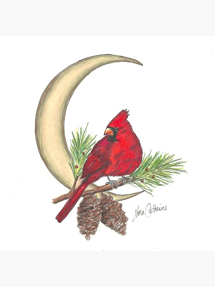 Cardinal - watching over me by noracatherine