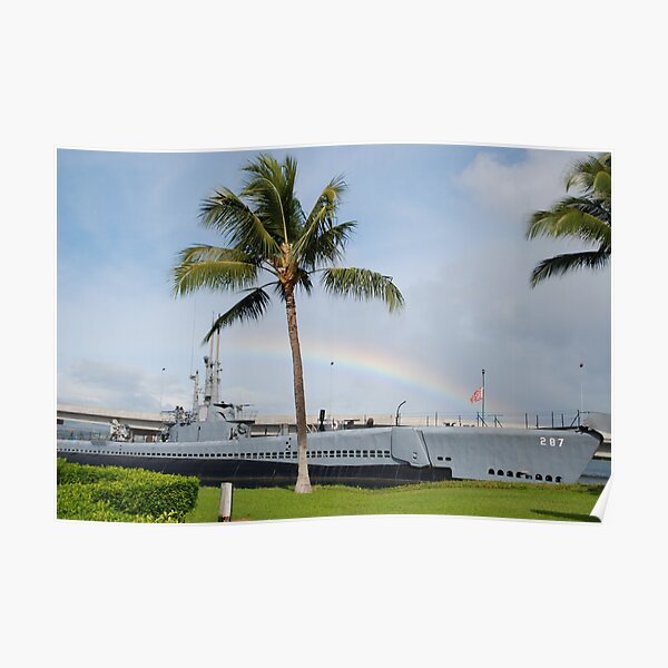 Rainbow in Hawaii Poster