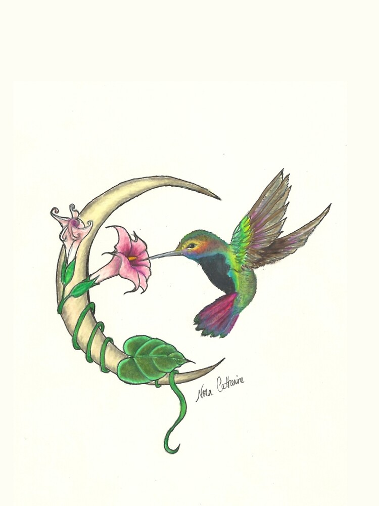 Hummingbird - sweet nectar by noracatherine
