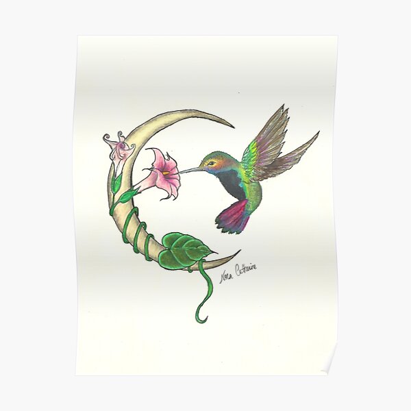 Hummingbird - sweet nectar Poster