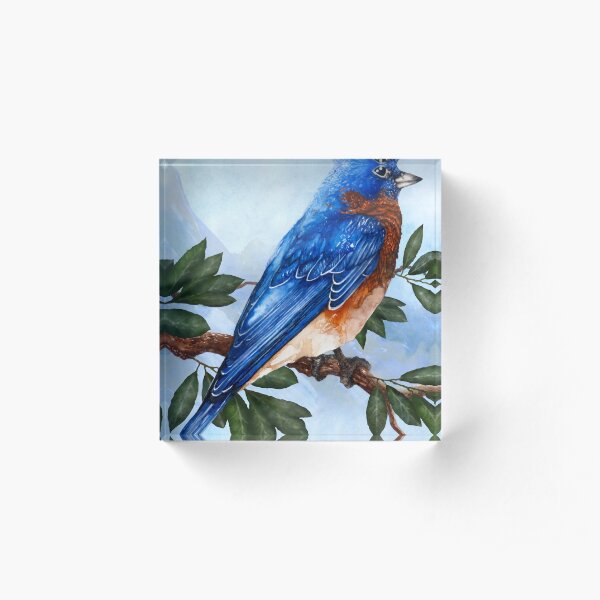 Blue Bird Acrylic Block