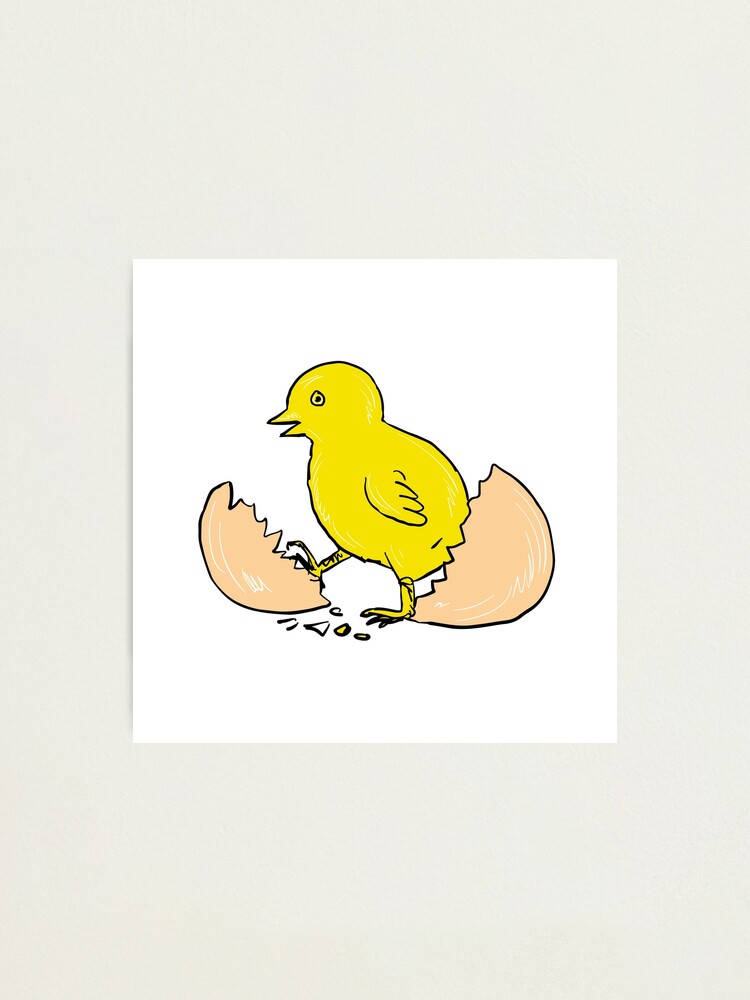 Lámina fotográfica «Dibujo de pollito dentro de huevo» de patrimonio | Redbubble Lámina fotográfica «Dibujo de pollito dentro de huevo» de patrimonio | Redbubble
