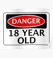 DANGER 18 YEAR OLD, FAKE FUNNY BIRTHDAY SAFETY SIGN Poster