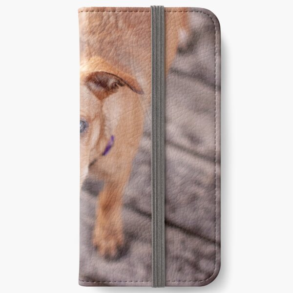 Xena Being a Cutie Pie iPhone Wallet