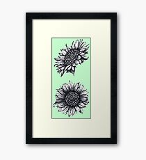 Black, White, Sunflowers, flowers, print Framed Print