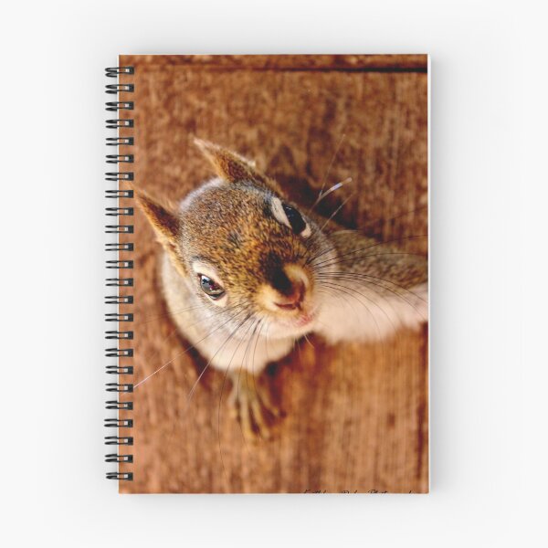 Item preview, Wait! You're Not Going Are You? designed and sold by Kathleen Daley.