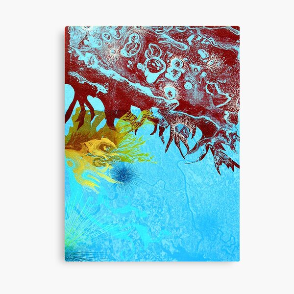 Turquoise Atlas Canvas Print