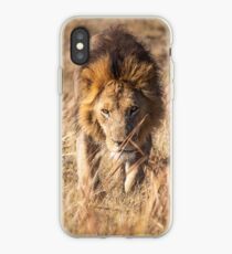 Approaching Lion iPhone Case