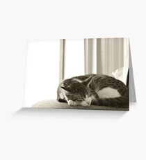 Sleeping Oscar Greeting Card