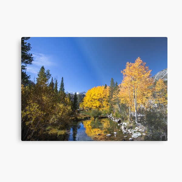 Bishop Creek North Fork Fall Metal Print