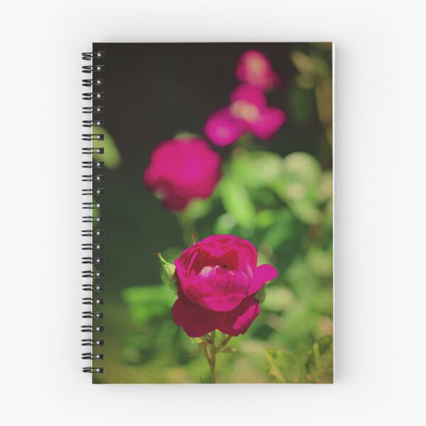 Item preview, Red Roses designed and sold by savapavo.