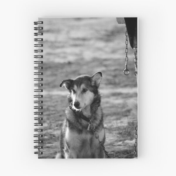 Item preview, Dog waiting for sled designed and sold by Eric Tchijakoff.