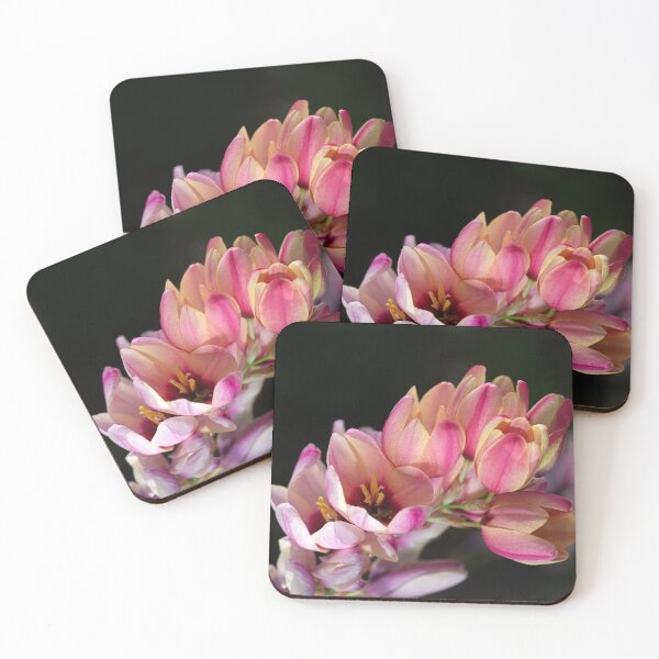 Item preview, Ixia Flowers Or Corn Lilies designed and sold by Joy Watson - Natural Light Photography .