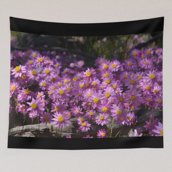 Item preview, Australia flower pink Daisy designed and sold by Schoensl.