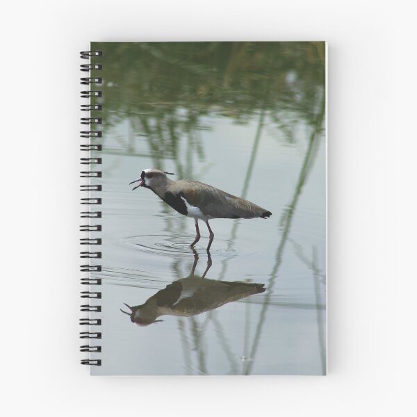 Item preview, Southern Lapwing Calling designed and sold by rhamm.