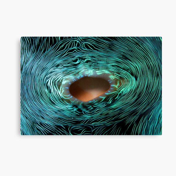 Siphon Canvas Print