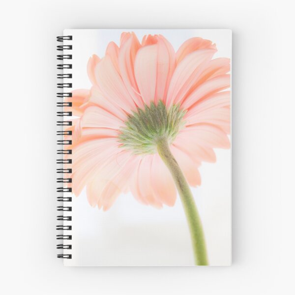 Item preview, daisy designed and sold by Tereza Pilar  Art.