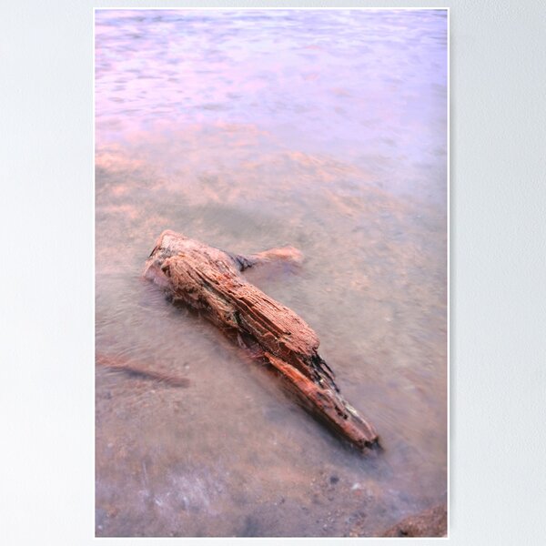 Item preview.