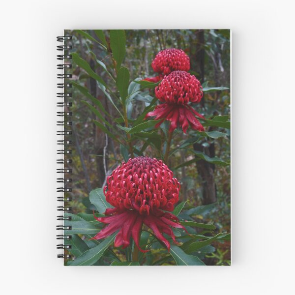 Item preview, Waratahs designed and sold by maritahills.