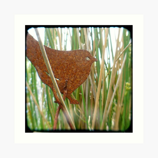 Rusty bird Art Print