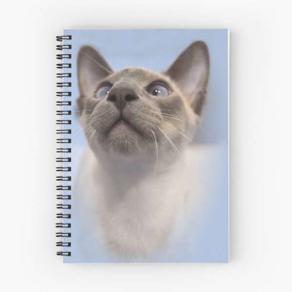 Item preview, Blue-Point Siamese designed and sold by Sally Green.