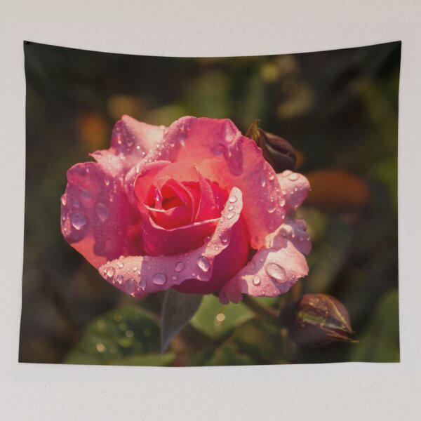 Item preview, Rose and Rain - Juicy Pink Rosebud designed and sold by Georgia Mizuleva.