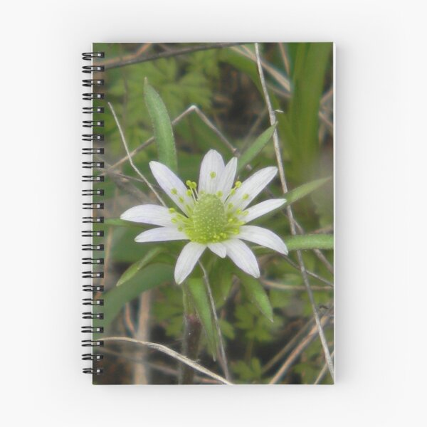 Item preview, Little Windflower designed and sold by Navigator.