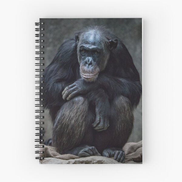 Item preview, Chimpanzee - gift idea designed and sold by Dagostino.