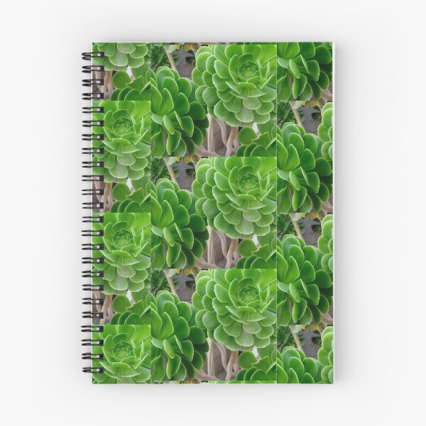 Aperçu de l'œuvre SUCCULENTS créée et vendue par NomadicBlonde.