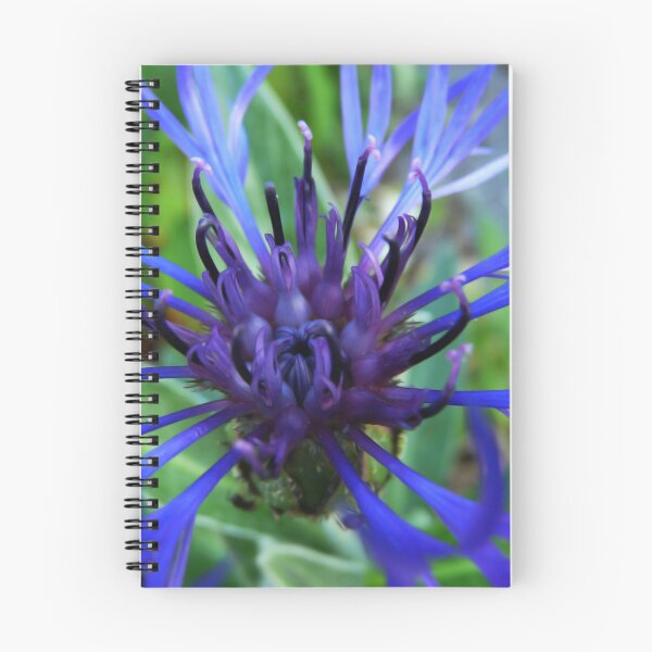 Item preview, Stillness Finds You designed and sold by Denise Abé.