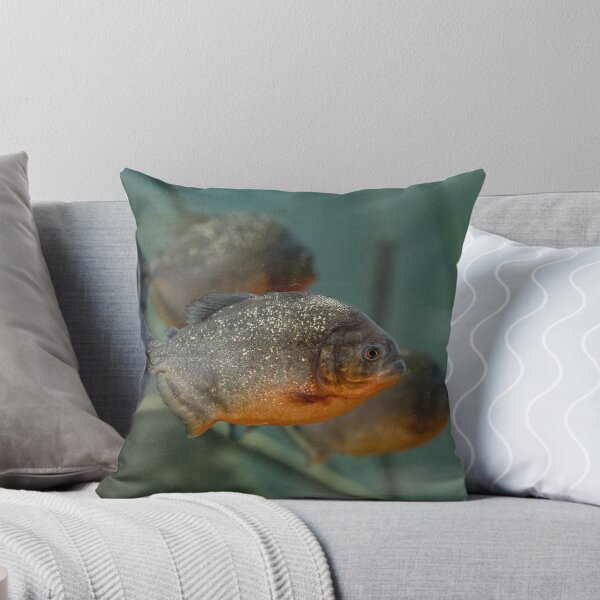 Item preview, Red bellied piranha designed and sold by Titphilou.