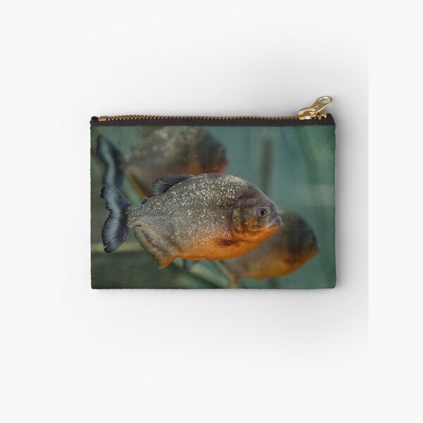 Item preview, Red bellied piranha designed and sold by Titphilou.