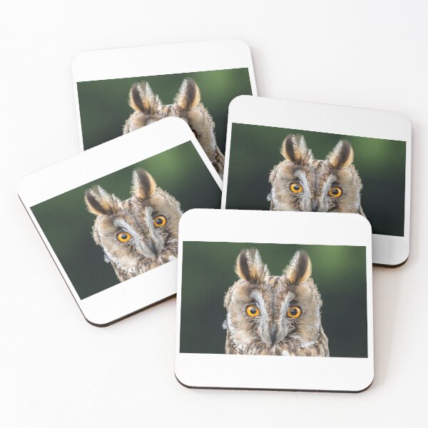 Item preview, Long Eared Owl 1 designed and sold by Nigel R Bell Photography.