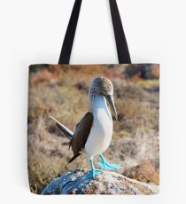 Blue Footed Booby Tote Bag