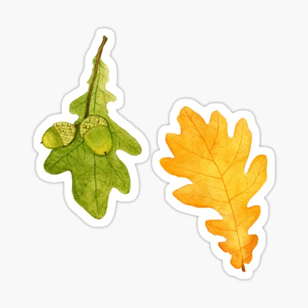 Item preview, Watercolor oak leaves designed and sold by Mesori.