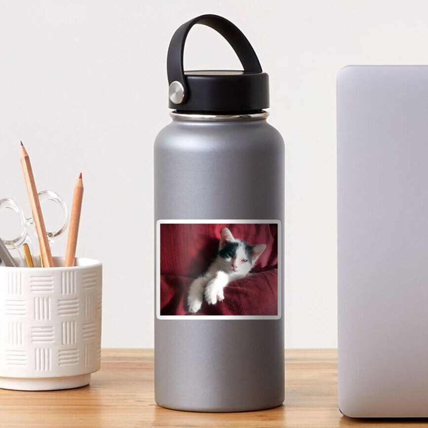 Katze in Rot Sticker