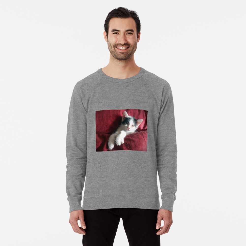 Artikel-Vorschau von Leichter Pullover, designt und verkauft von Gourmetkater.