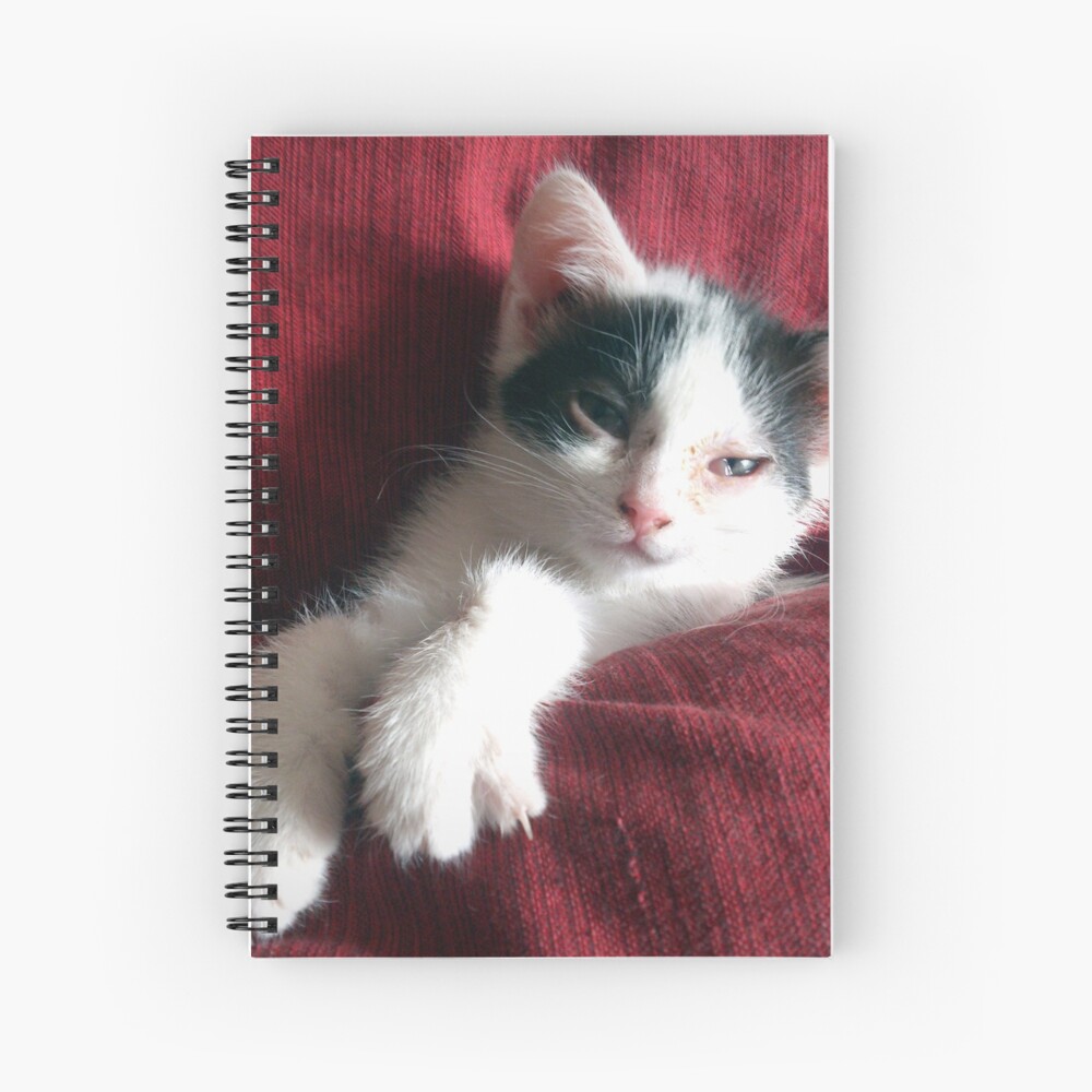 Katze in Rot Spiralblock