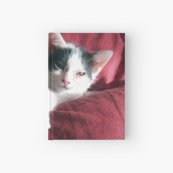 Katze in Rot Notizbuch